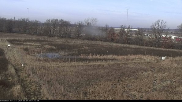 Cell 2_24-02-07_09-59-53-99