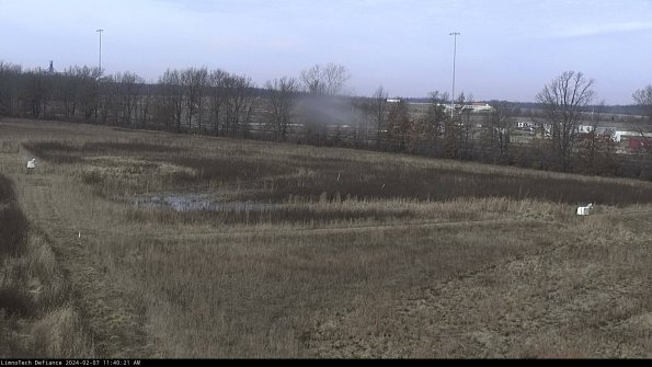 Cell 2_24-02-07_11-40-21-94