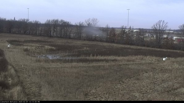 Cell 2_24-02-07_12-13-51-02