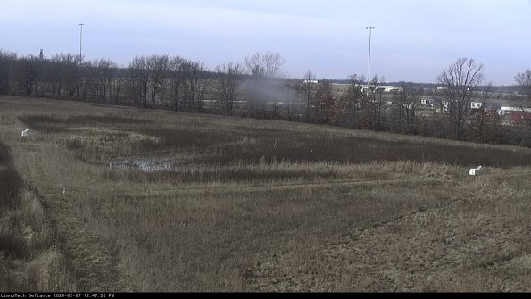 Cell 2_24-02-07_12-47-20-97