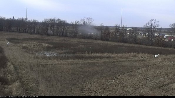 Cell 2_24-02-07_13-54-17-98