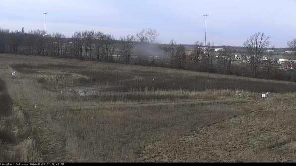 Cell 2_24-02-07_14-27-47-03