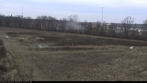 Cell 2_24-02-07_15-01-15-94