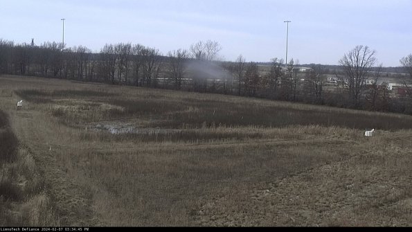 Cell 2_24-02-07_15-34-45-96