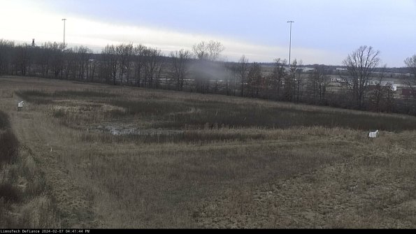 Cell 2_24-02-07_16-41-45-00