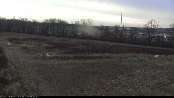 Cell 2_24-02-07_17-15-14-95