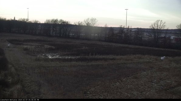 Cell 2_24-02-07_17-48-44-00