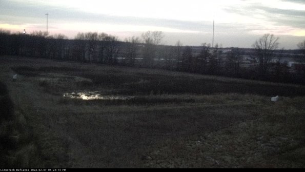 Cell 2_24-02-07_18-22-13-98