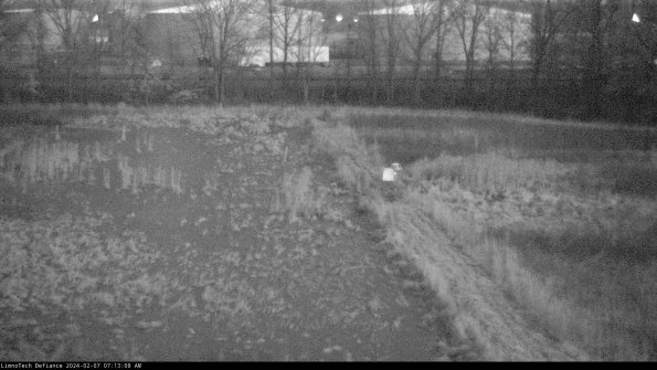 Cell 3 to 4_24-02-07_07-13-08-97