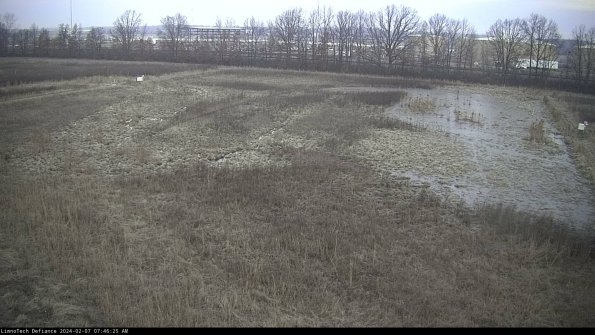 Cell 3_24-02-07_07-46-25-93