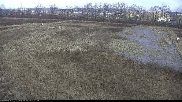 Cell 3_24-02-07_09-26-52-94