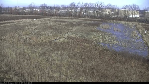 Cell 3_24-02-07_10-00-21-95