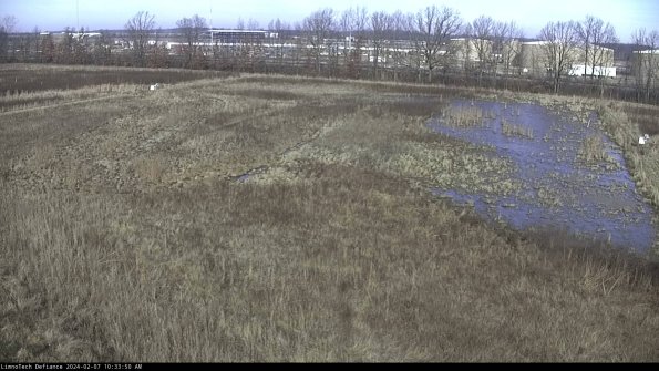 Cell 3_24-02-07_10-33-51-17