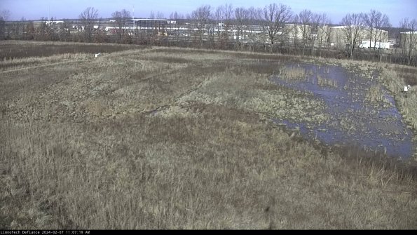 Cell 3_24-02-07_11-07-19-95