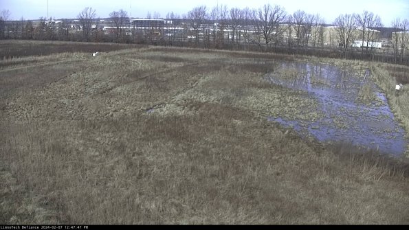 Cell 3_24-02-07_12-47-48-20