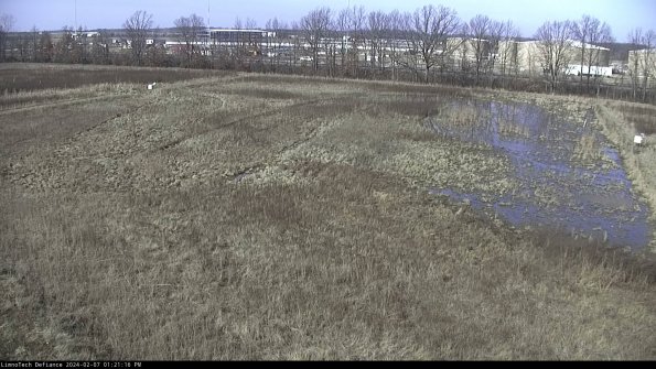 Cell 3_24-02-07_13-21-16-92