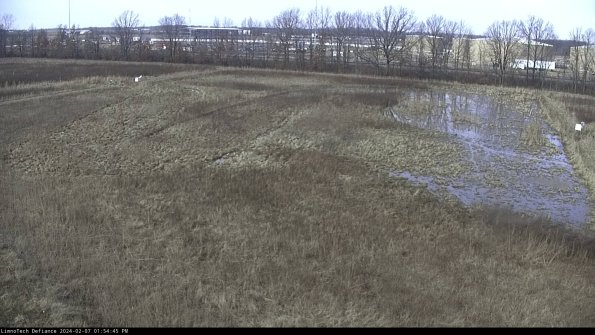 Cell 3_24-02-07_13-54-45-94