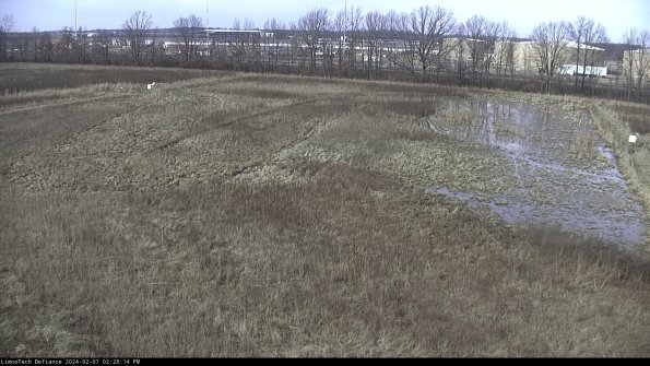 Cell 3_24-02-07_14-28-14-96