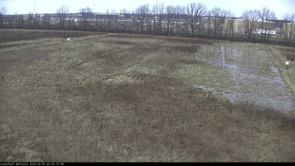 Cell 3_24-02-07_15-35-13-96