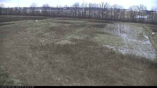 Cell 3_24-02-07_16-42-12-93