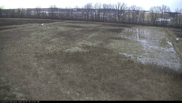 Cell 3_24-02-07_17-15-42-14