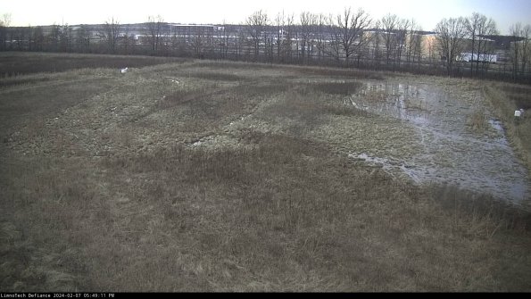 Cell 3_24-02-07_17-49-11-96