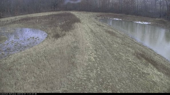 Cell 4 to Basin_24-02-07_11-41-47-92