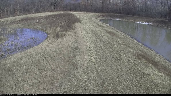 Cell 4 to Basin_24-02-07_12-48-45-96