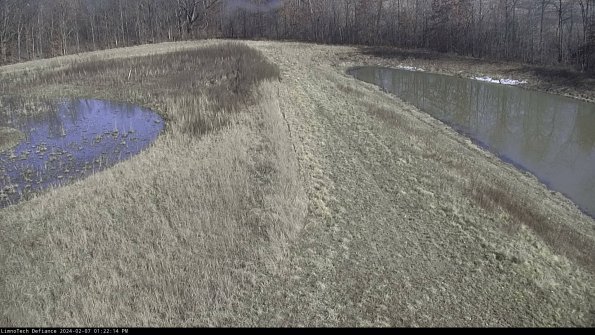 Cell 4 to Basin_24-02-07_13-22-14-98