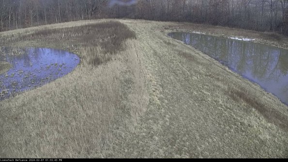 Cell 4 to Basin_24-02-07_13-55-43-96