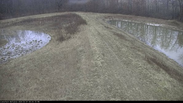 Cell 4 to Basin_24-02-07_16-43-10-95