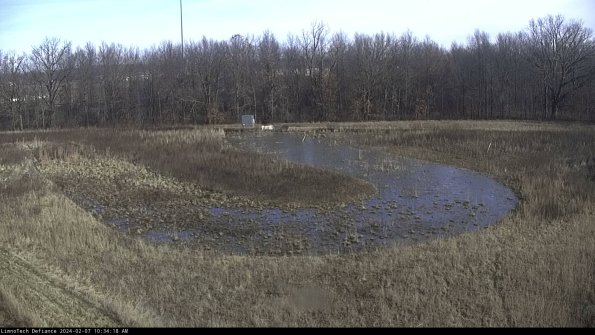 Cell 4_24-02-07_10-34-18-96