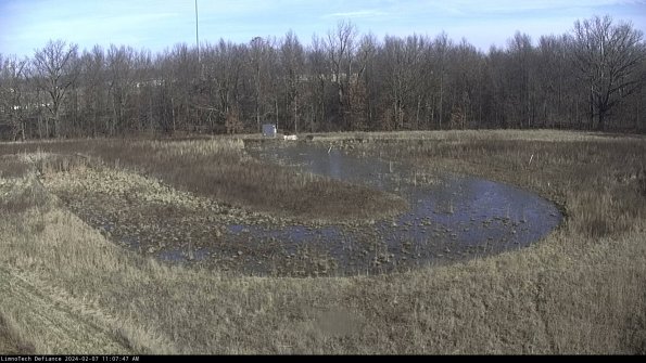 Cell 4_24-02-07_11-07-47-94