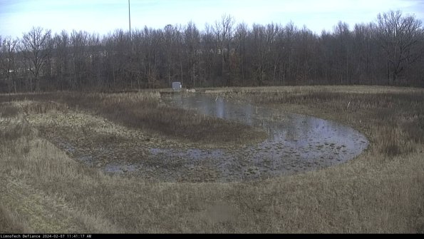 Cell 4_24-02-07_11-41-17-93