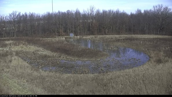 Cell 4_24-02-07_12-48-15-93