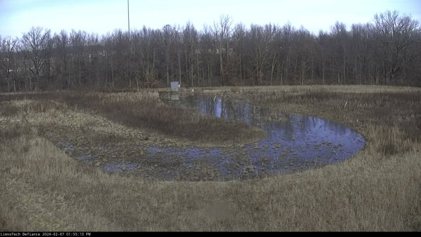 Cell 4_24-02-07_13-55-13-93