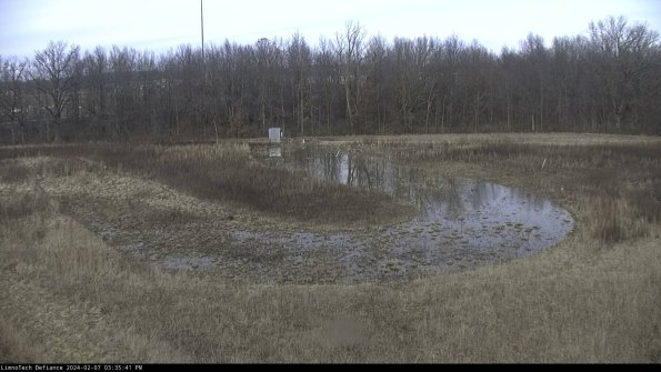 Cell 4_24-02-07_15-35-41-95