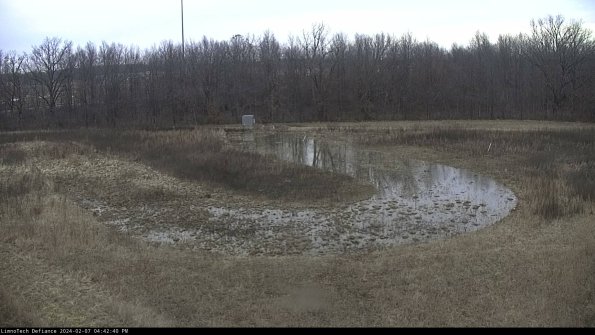 Cell 4_24-02-07_16-42-40-92