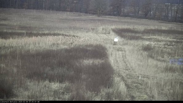 Cell 1 to 2_24-02-08_07-45-47-92