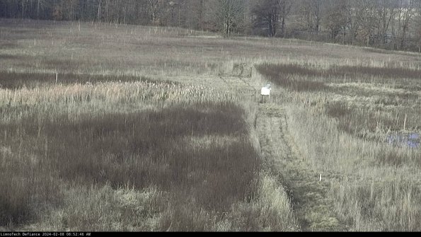 Cell 1 to 2_24-02-08_08-52-46-94