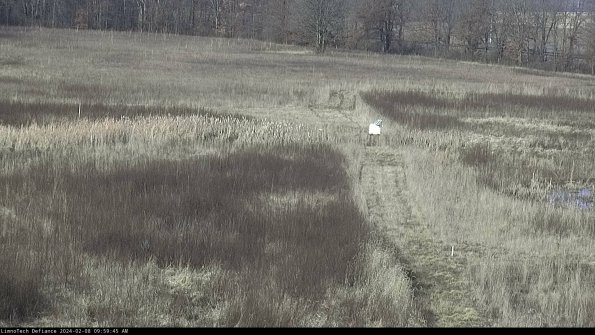 Cell 1 to 2_24-02-08_09-59-45-94