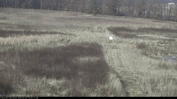 Cell 1 to 2_24-02-08_10-33-13-93