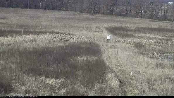 Cell 1 to 2_24-02-08_12-13-40-95