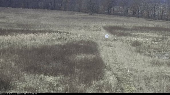 Cell 1 to 2_24-02-08_12-47-10-93