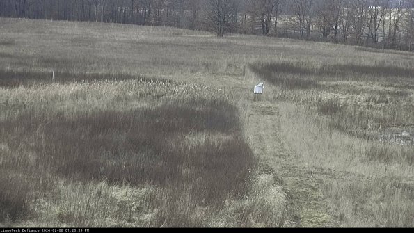 Cell 1 to 2_24-02-08_13-20-39-95