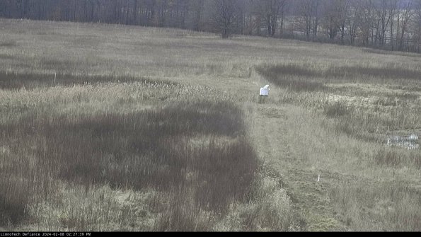 Cell 1 to 2_24-02-08_14-27-39-93