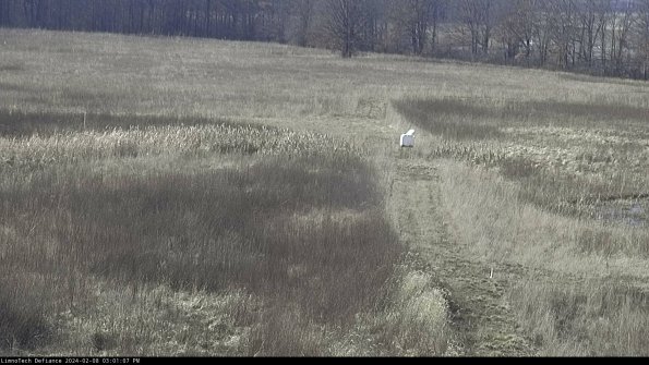 Cell 1 to 2_24-02-08_15-01-07-94