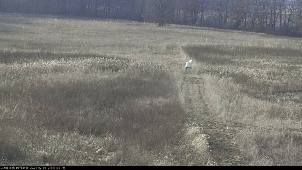 Cell 1 to 2_24-02-08_16-41-35-93