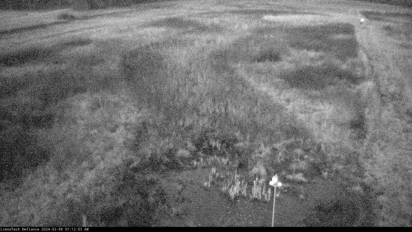 Cell 1_24-02-08_07-12-03-92