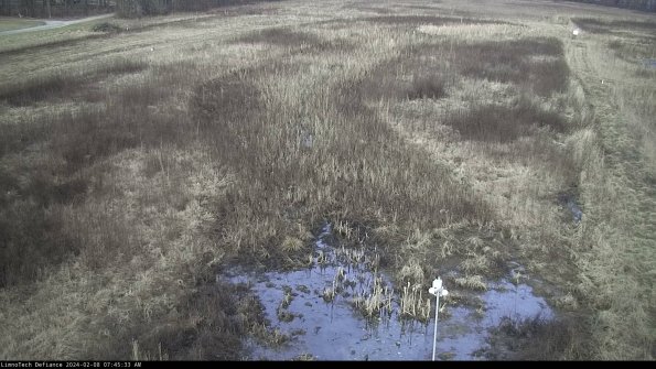 Cell 1_24-02-08_07-45-33-94